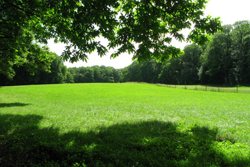 Kleinschalige weilanden