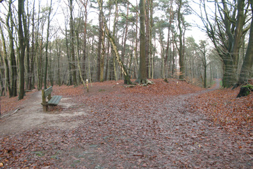 Bankje op Landgoed De Vossenberg