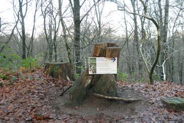 Knooppunt met informatie bord