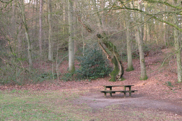 Picknickbank aan de van Elysese velden