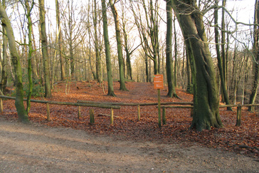 Heuvelachtig landschap