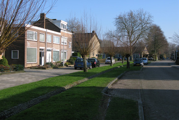 Wilgenlaan in Beek