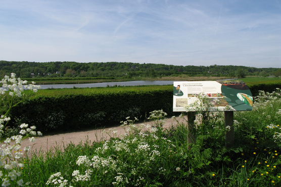 Natuurontwikkeling 't Zwanenbroekje