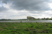 Uitzicht over de uiterwaarden (Rhenen)