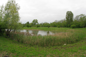 Plas Blauwe Kamer (Rhenen)