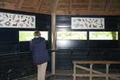 Schuilhut Blauwe Kamer (Rhenen)