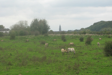 Uitzicht richting Rhenen