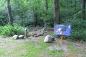 Boommarters (Schokland)