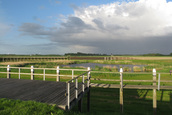 Oude Haven (Schokland)