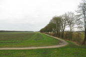 Grensbomen (Schokland)