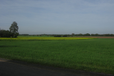 Ooijpolder als uiterwaarden landschap