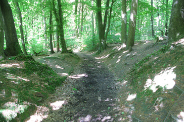 Holle weg