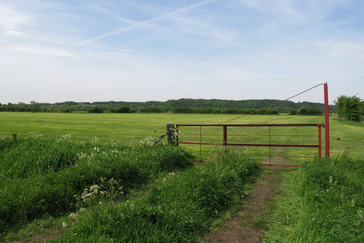Landschap rondom Zyfflich