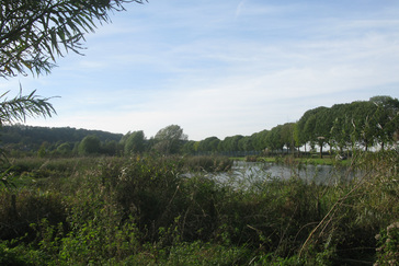 Natuurgebied 't Zwanenbroekje 