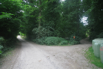 Rietveld op de heuvel