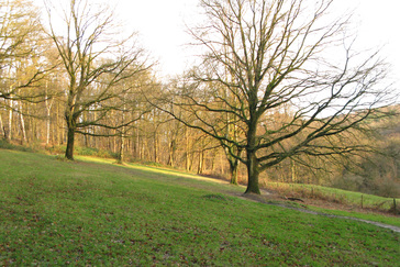 Weiland in het Filosofendal