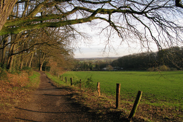 Uitzicht over het open landschap