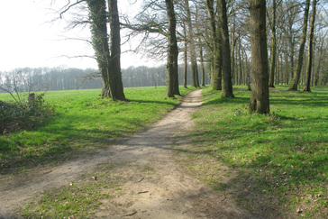 Laantje met Eiken