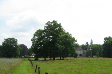 Functie van Boomgroep