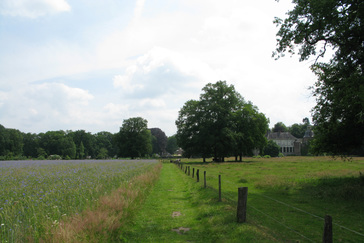 Functie van Boomgroep