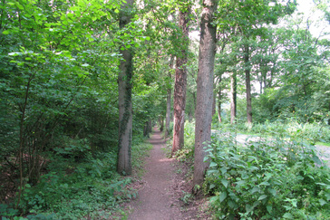 Eikenlaan langs de weg