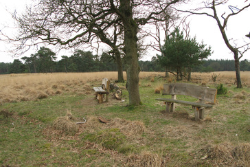 Bankjes onder de bomen