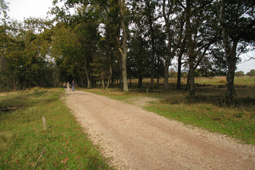 Grote Heide