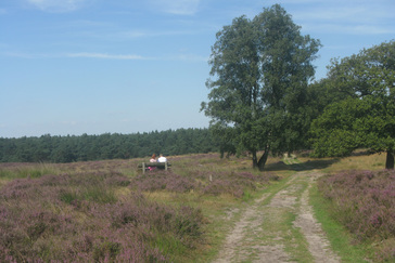 WOB Wouters memorial