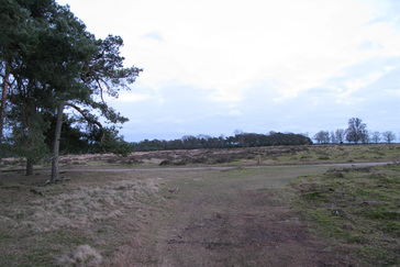 Houtwal van Vliegdennen