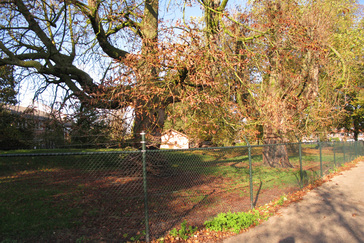 Vogelpark aan het Bongerdspad