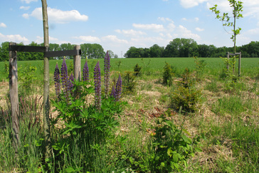 Boerderij Landgoed de Voorst