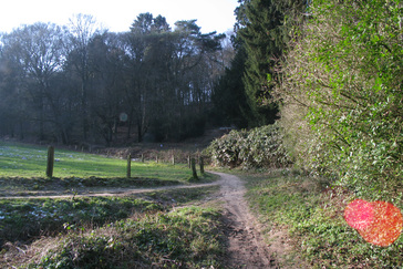 Op de hoek