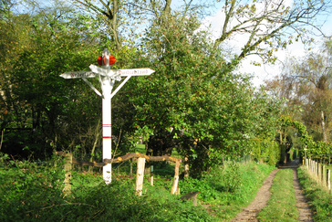Vriendschaps wegwijzer