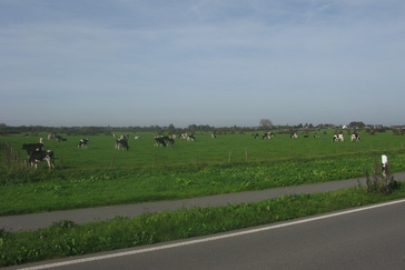 Landschap rondom Zyfflich