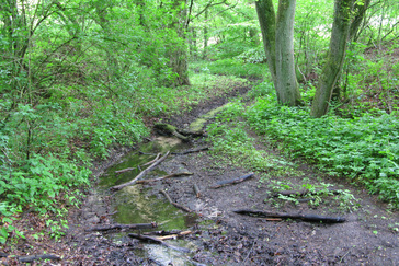 Bronnen landschap