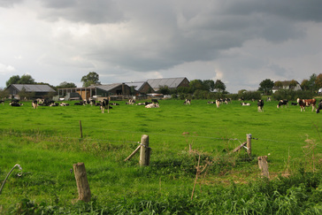 Landschap rondom Zyfflich