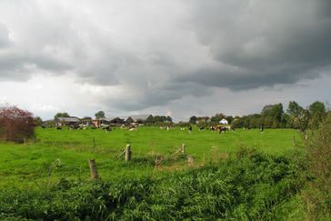 Landschap rondom Zyfflich