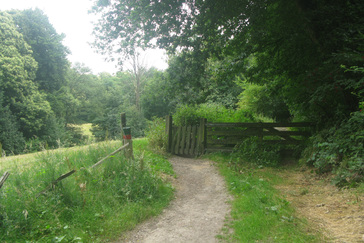 Weiland op de Heuvels