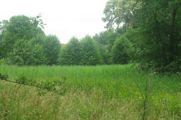 Rietveld op de heuvel