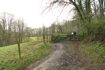 Weiland op de Heuvels