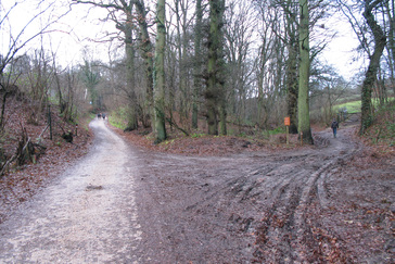Rietveld op de heuvel
